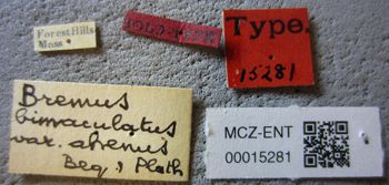 Media type: image;   Entomology 15281 Aspect: labels